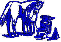 3D Image
