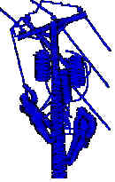3D Image
