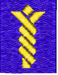 3D Image