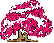 3D Image